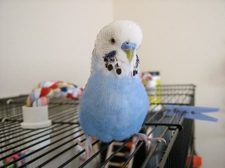 Bobbylovesthecamera006.jpg