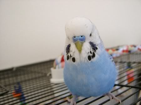 Bobbylovesthecamera007.jpg