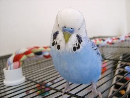 Bobbylovesthecamera008.jpg
