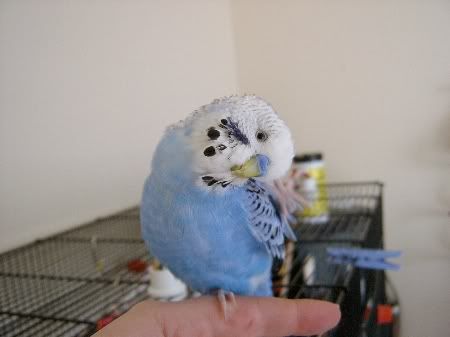 Bobbylovesthecamera009.jpg
