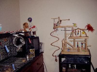 Birdroom050.jpg