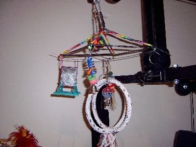Birdroom051.jpg