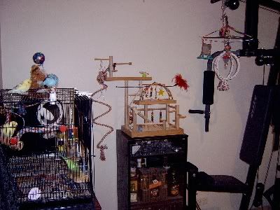 Birdroom052.jpg