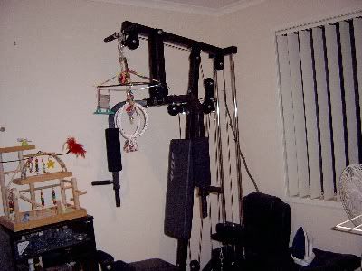 Birdroom053.jpg