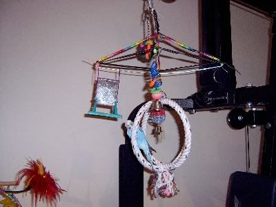 Birdroom070.jpg