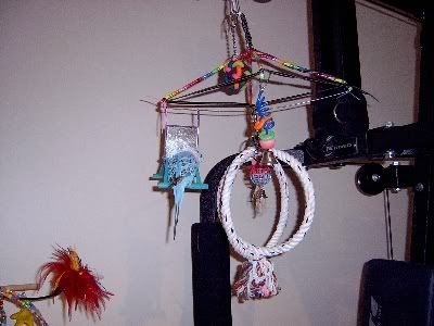Birdroom071.jpg