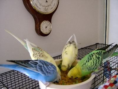 Gotthemunchies018.jpg