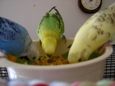 Gotthemunchies020.jpg