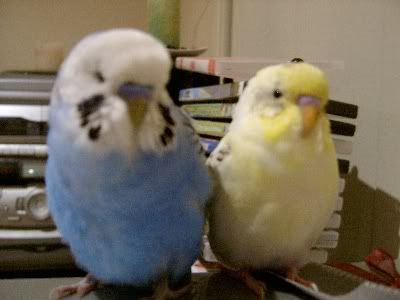 Friends073.jpg