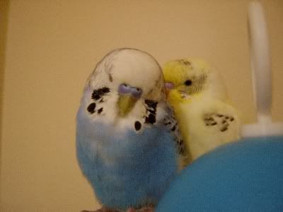 Friends089.jpg