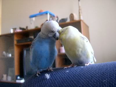 Kissingboys002.jpg