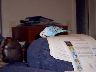 Picture108.jpg