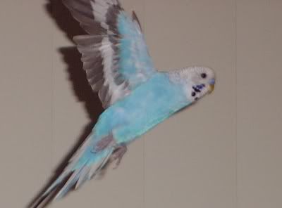 Picture177.jpg