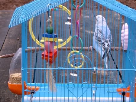 Picture191_450x337.jpg