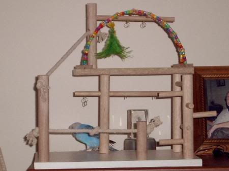 Playgym3_450x337.jpg