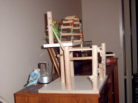 Playgym4_450x337.jpg