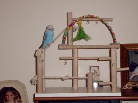 Playgym5_450x337.jpg