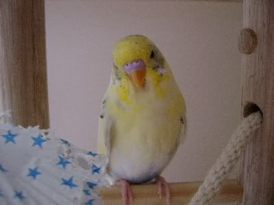 Poser005.jpg