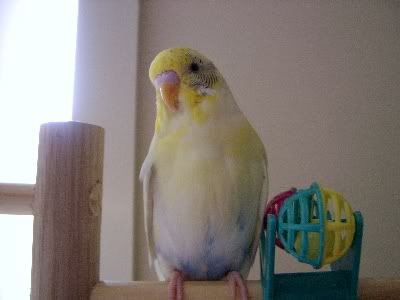 Poser007.jpg