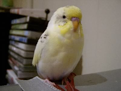 Poser009.jpg