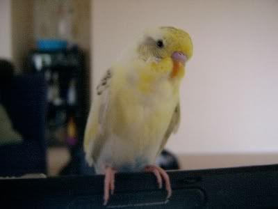 Sunnyclose030.jpg