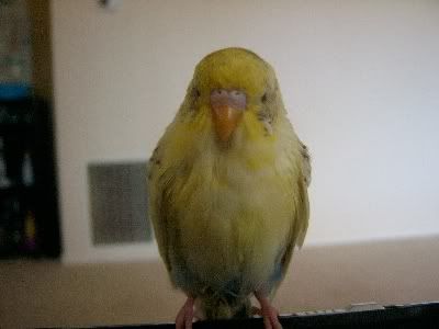 Sunnyposes011.jpg