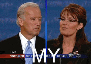 palin.gif picture by dbird76