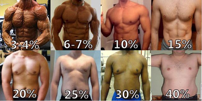 15 Body Fat Male Diet