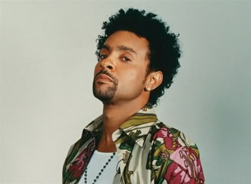 Shaggy Pictures, Images and Photos