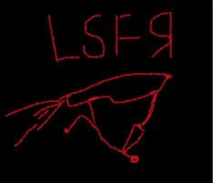 LSFRsillyfront2011-1-1.jpg