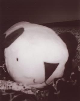 holga 1 Pictures, Images and Photos