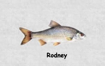 Photobucket - Video and Image Hosting