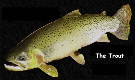 Photobucket - Video and Image Hosting