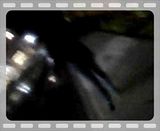 SCARLETTSBDAY057.mp4 video by ZAILYMOSQUEA