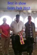 Showmanship Questions - 4H/FFA Corner