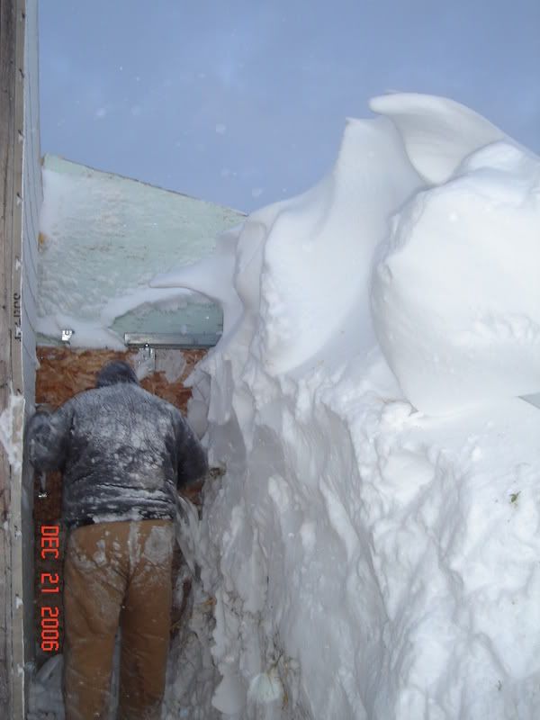 We are in a snow storm - Goats
