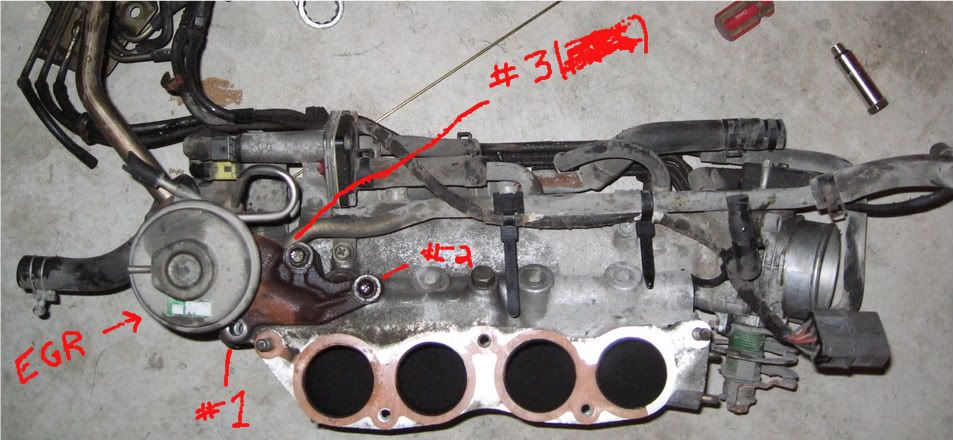 Nissan 240 sx egr #10