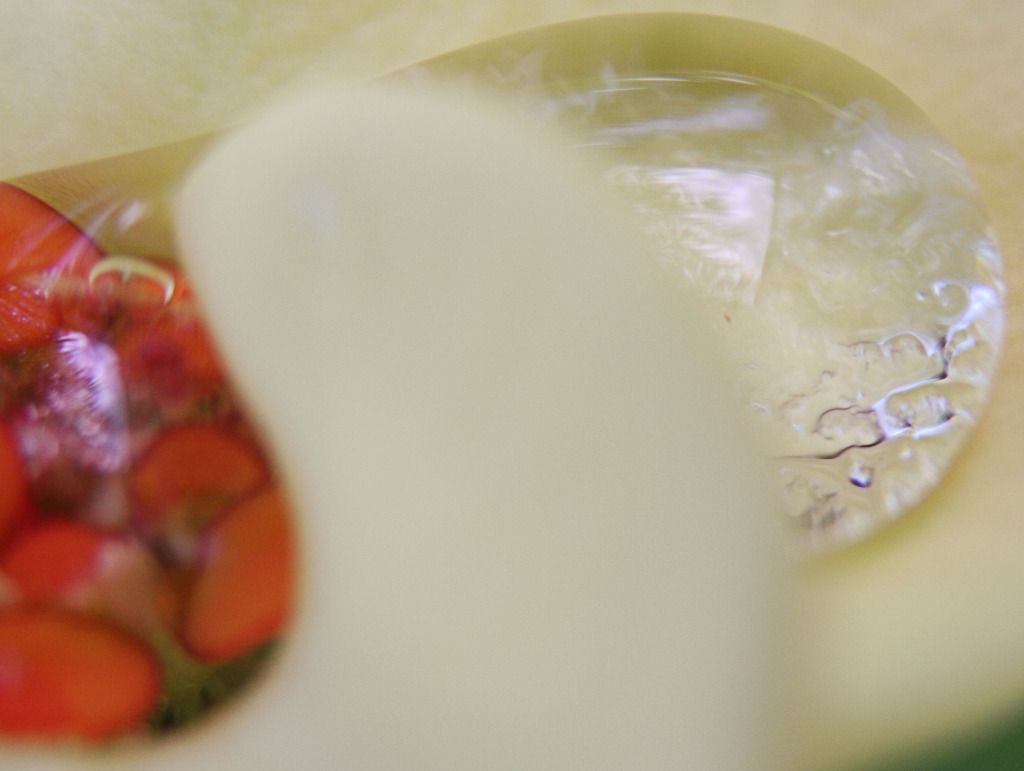 IMAGE: http://i36.photobucket.com/albums/e28/dhayling/Macro%20Images/WaterBlob-Copy.jpg