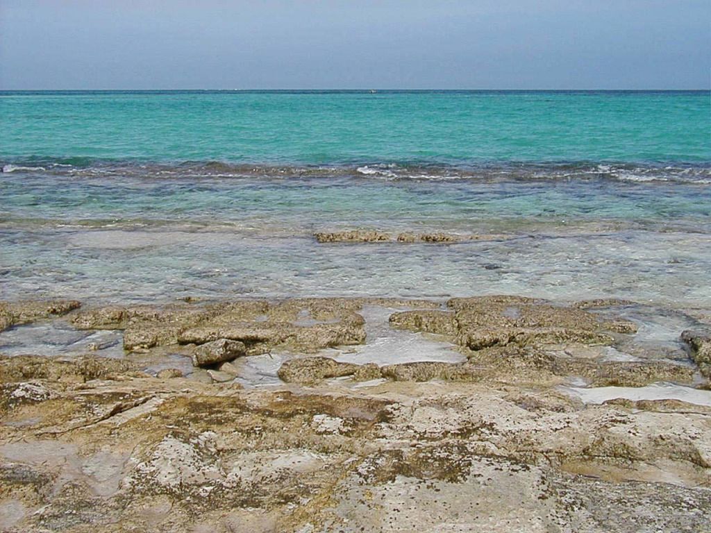 IMAGE: http://i36.photobucket.com/albums/e28/dhayling/Nature/Shorebands_enhanced.jpg