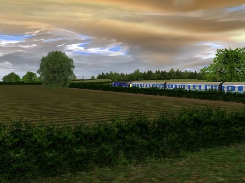 37RR2-1.jpg