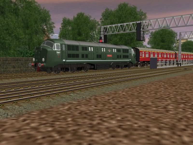 D601.jpg
