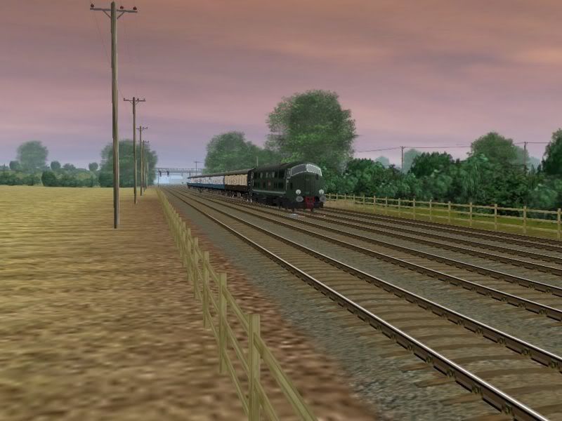D602PIC2.jpg