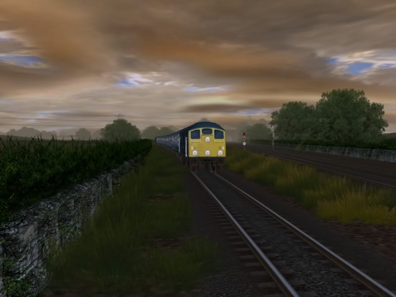 P2.jpg