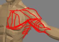 ShoulderPaintover.jpg