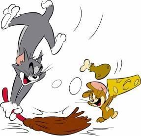 tom and jerry :]]