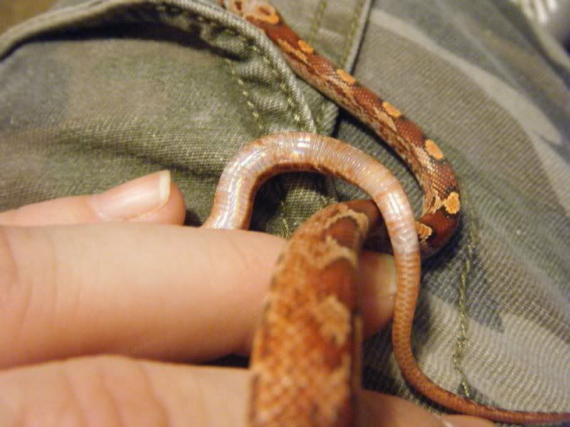 lilith7.jpg