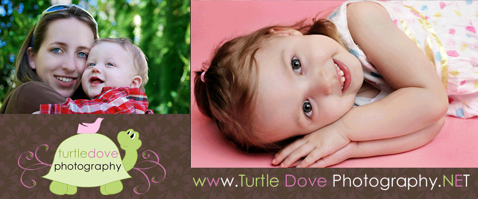 Turtle Dove Photography .NET
