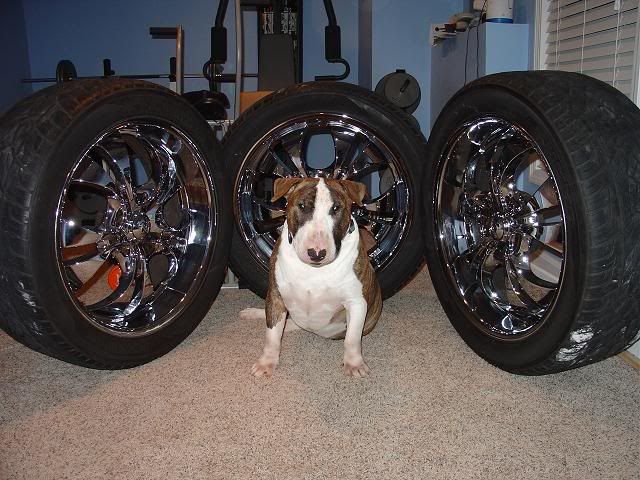 kaiser rims