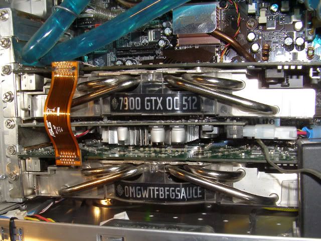 gpus.jpg