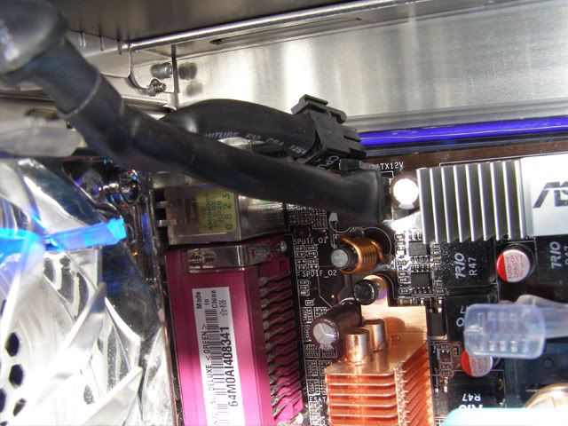 wm1.jpg